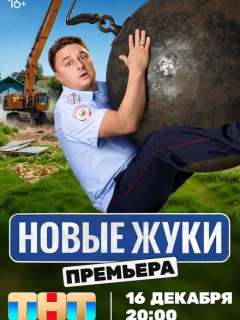 Жуки